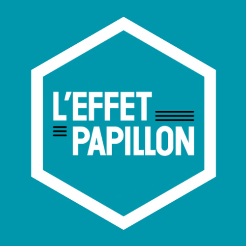 L'EFFET PAPILLON