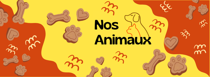 Nos Animaux Banniere